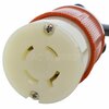 Ac Works 25ft SOOW 12/4 NEMA L16-20 20A 3-Phase 480V Industrial Rubber Extension Cord L1620PR-025